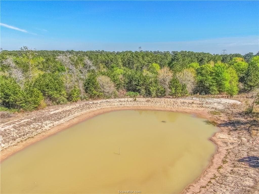 15 acres in Grimes County - photo 8