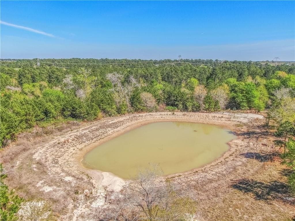 15 acres in Grimes County - photo 7