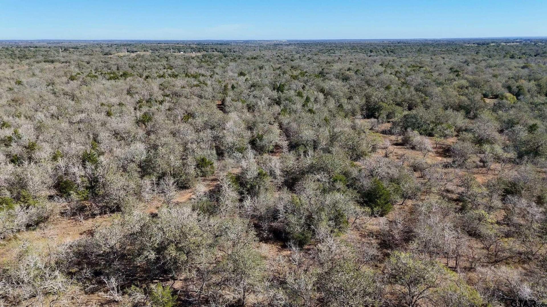 284 acres in Gonzales County gallery image 4