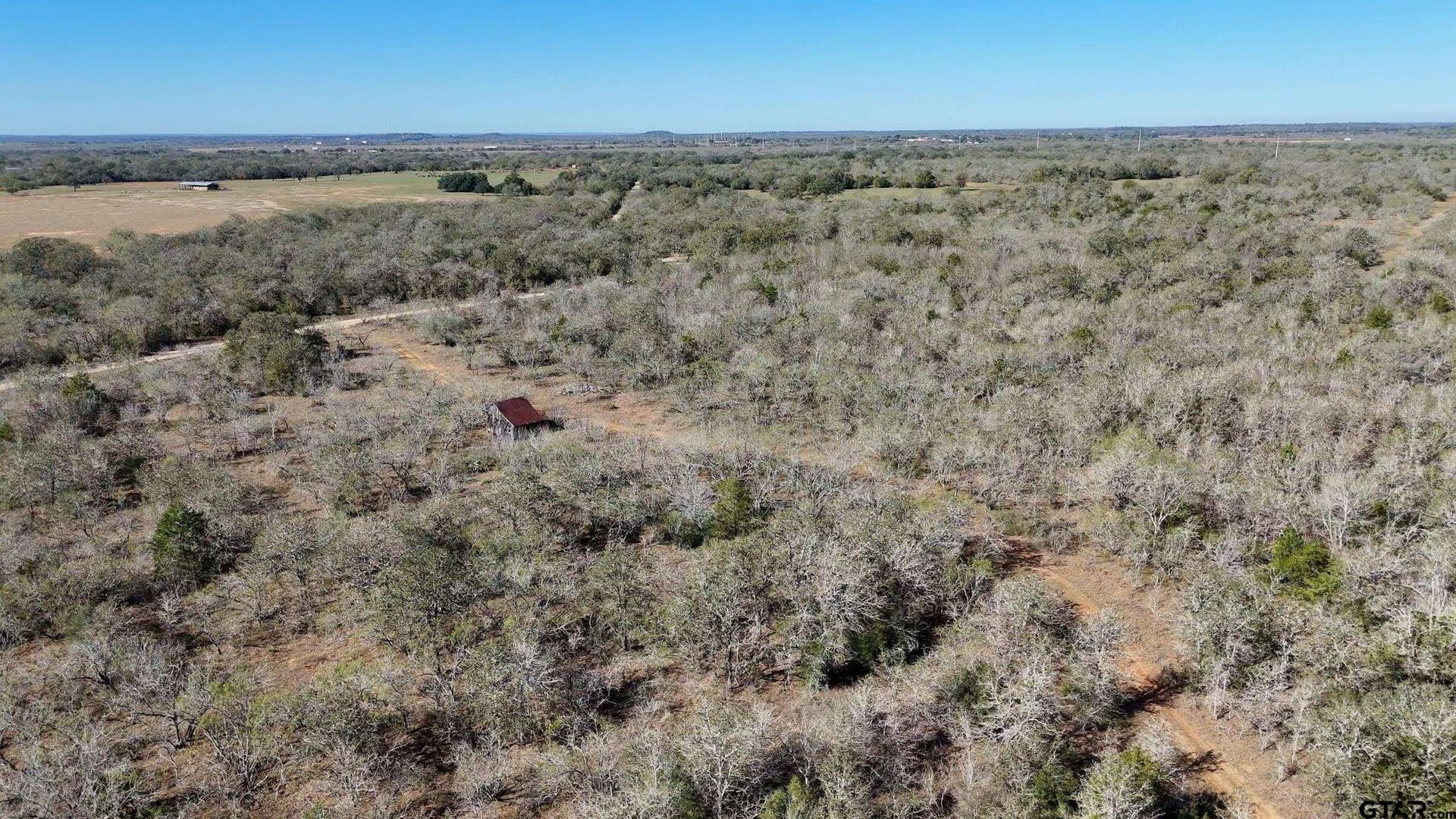 284 acres in Gonzales County gallery image 3