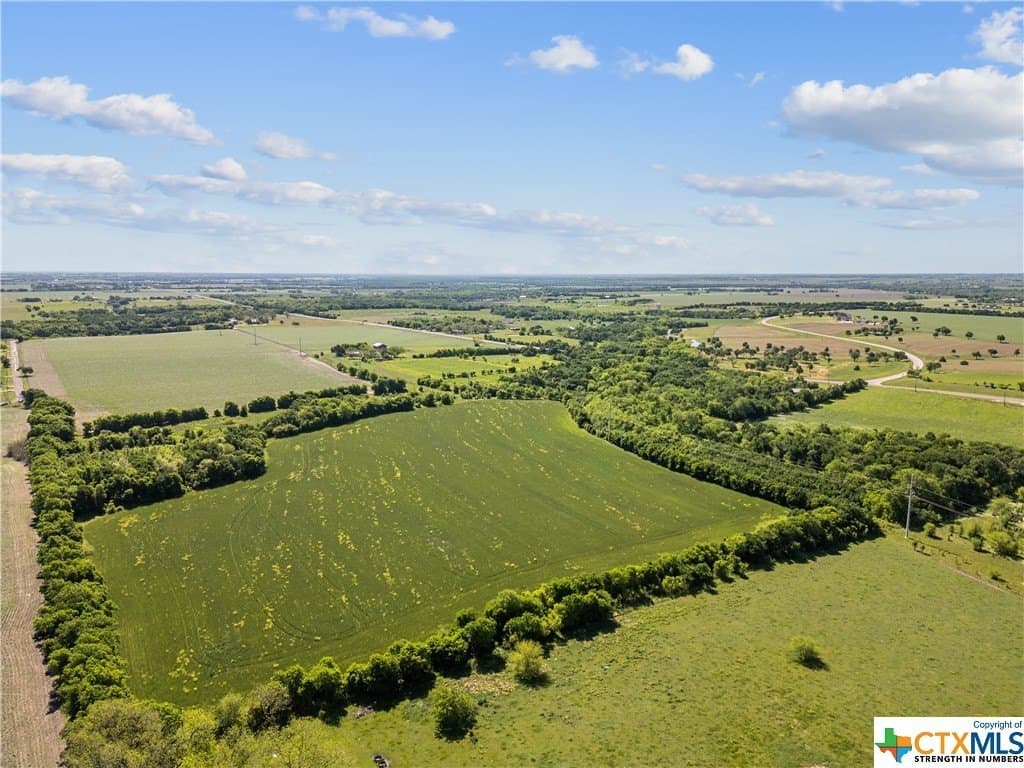 41 acres in Bell County gallery image 3