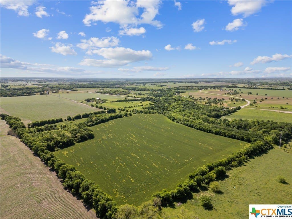 41 acres in Bell County gallery image 2