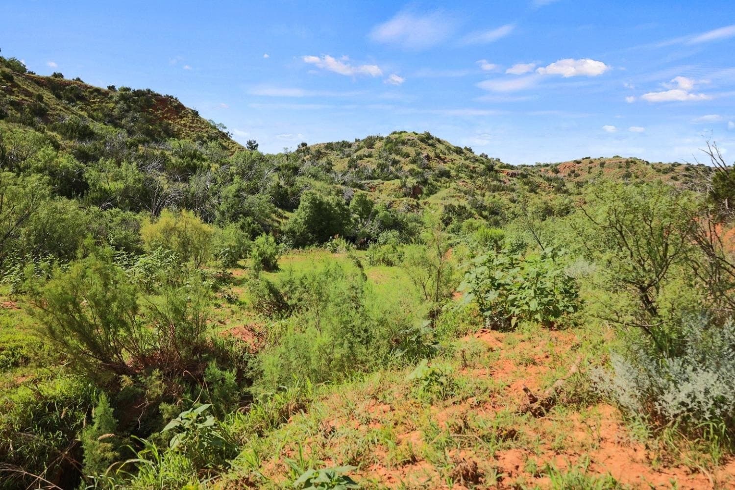 2,553 acres in Dickens County - photo 11