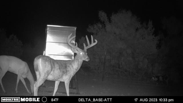 2,553 acres in Dickens County - photo 45