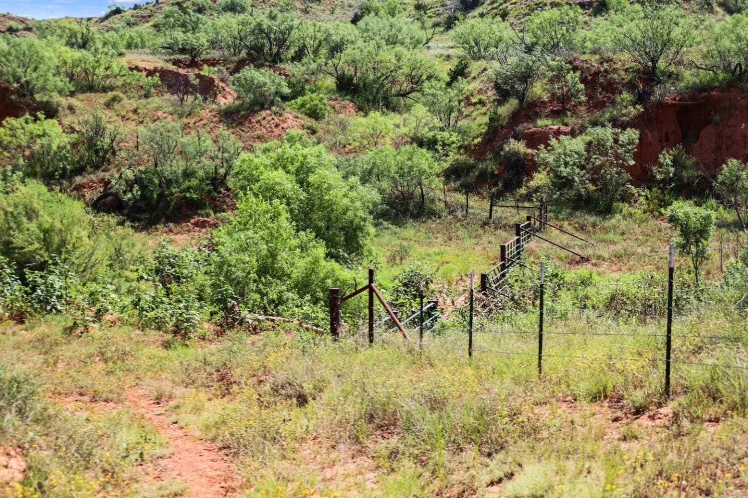 2,553 acres in Dickens County - photo 16