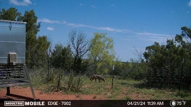 2,553 acres in Dickens County - photo 15