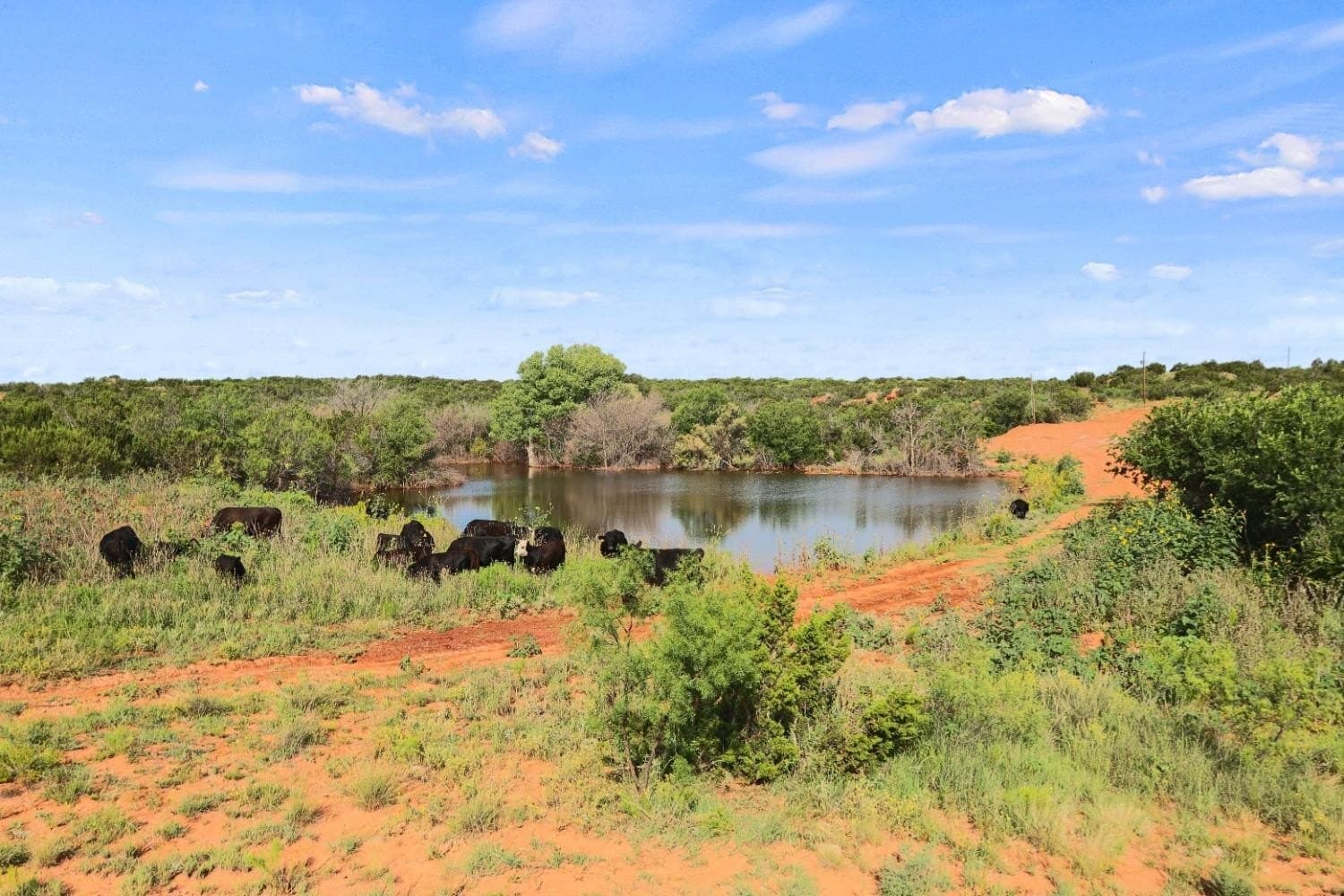2,553 acres in Dickens County - photo 9