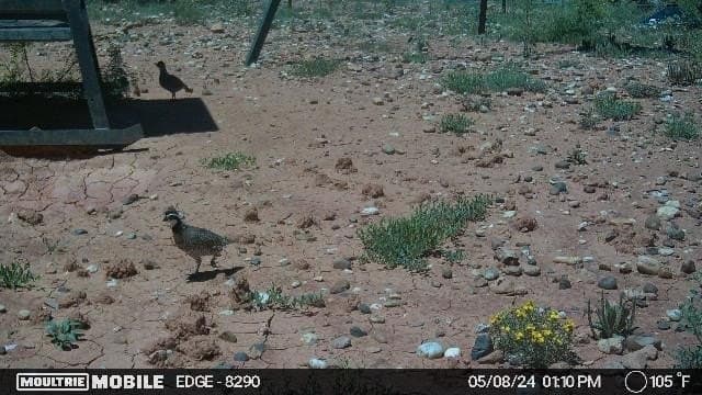 2,553 acres in Dickens County - photo 18