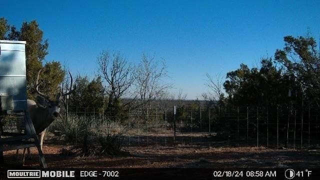 2,553 acres in Dickens County - photo 39