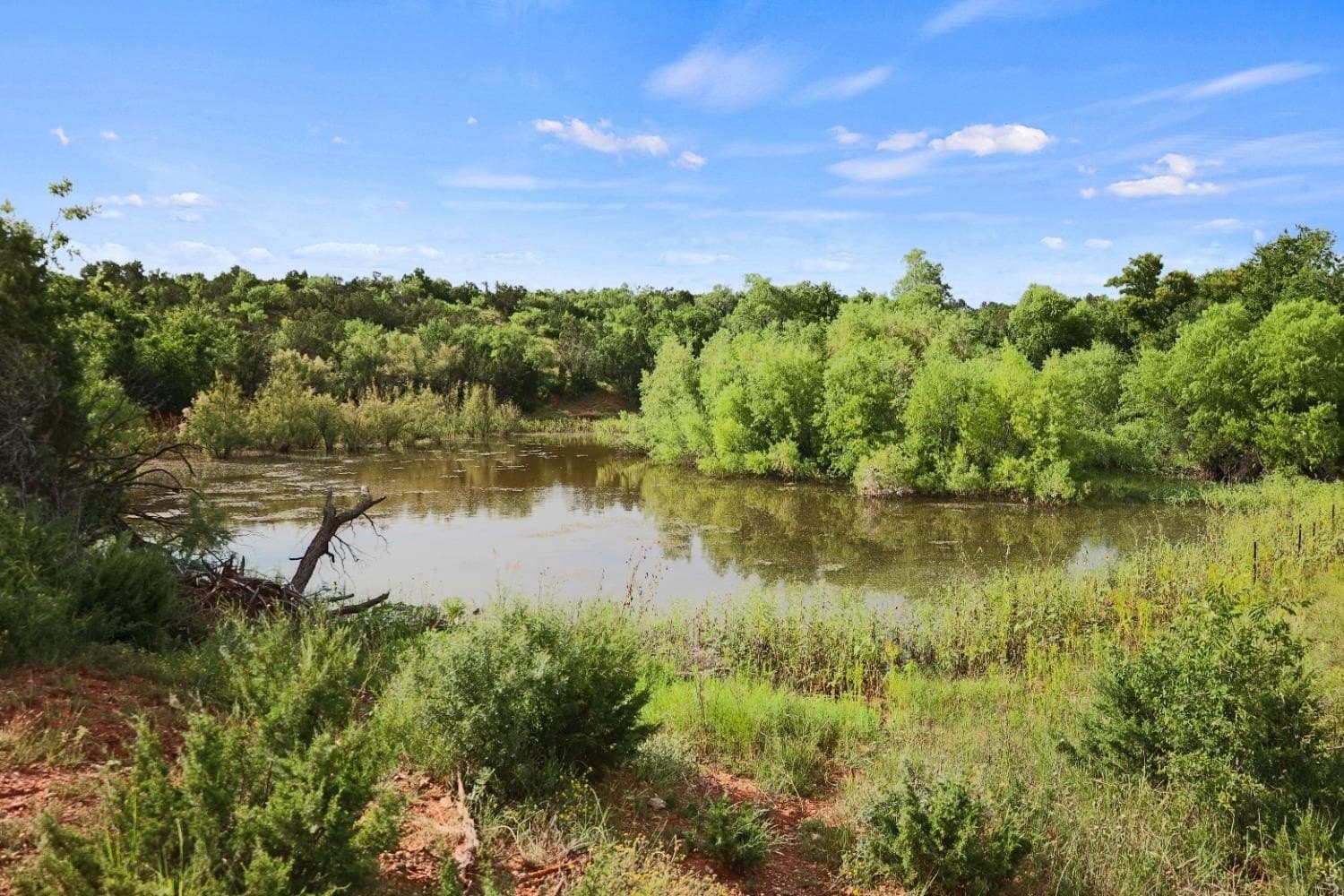 2,553 acres in Dickens County - photo 3