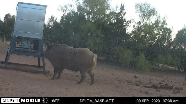 2,553 acres in Dickens County - photo 10