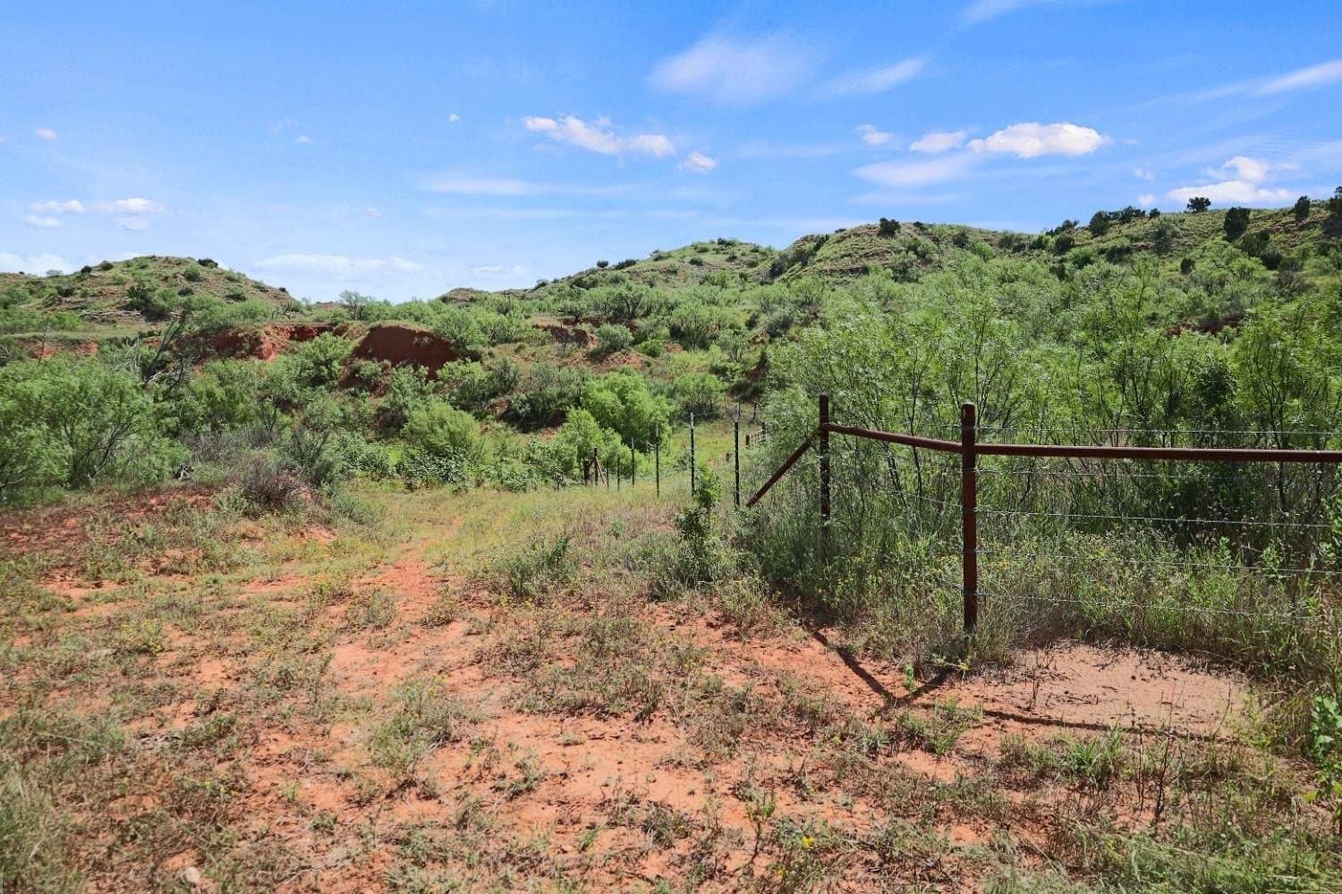 2,553 acres in Dickens County - photo 14