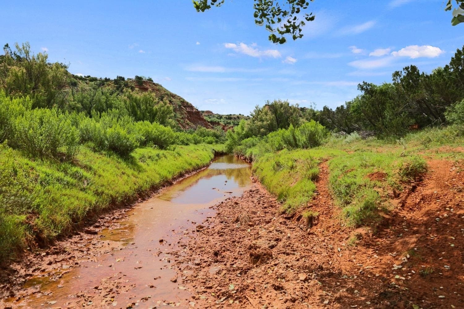 2,553 acres in Dickens County - photo 19