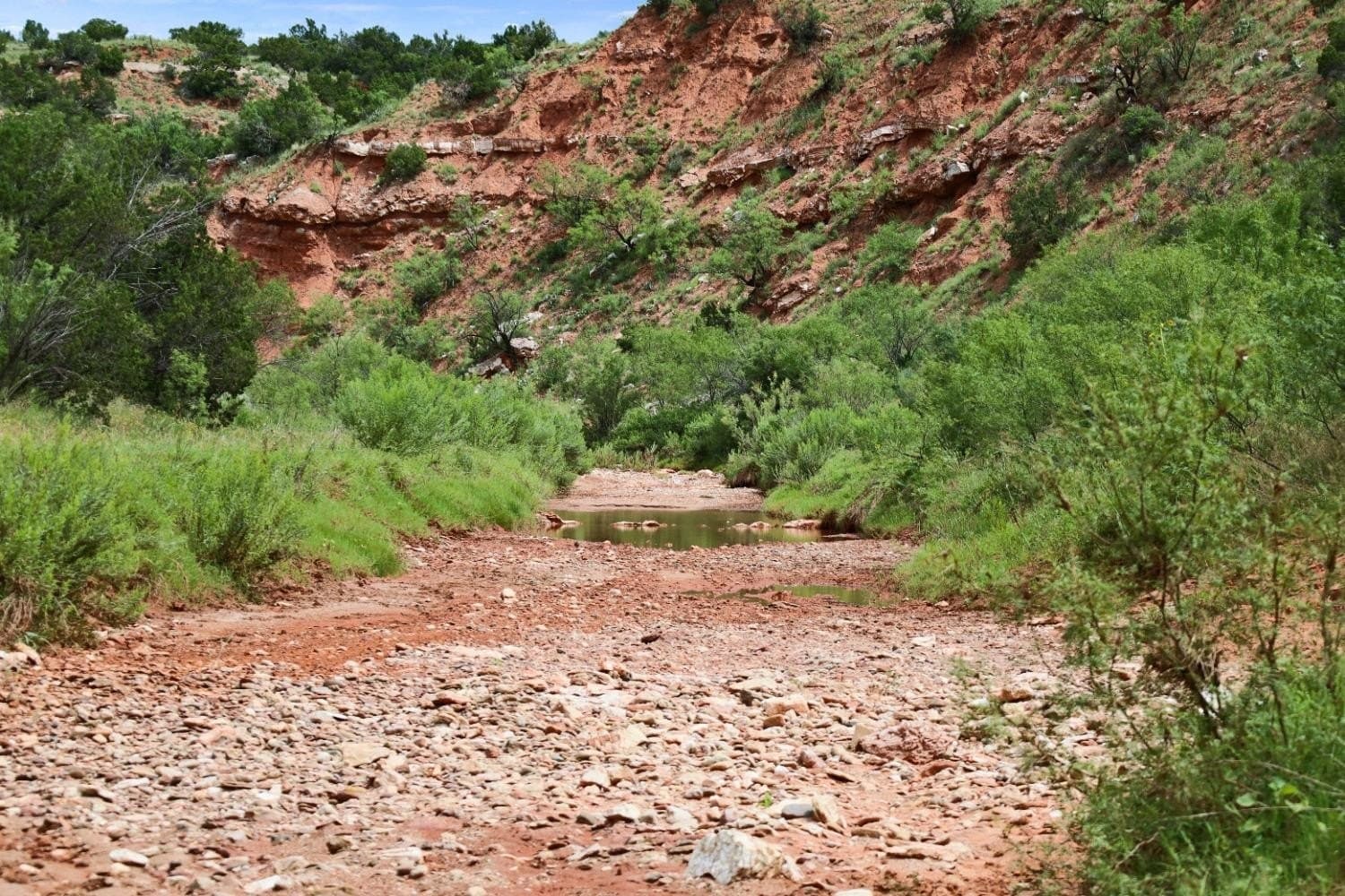 2,553 acres in Dickens County - photo 20