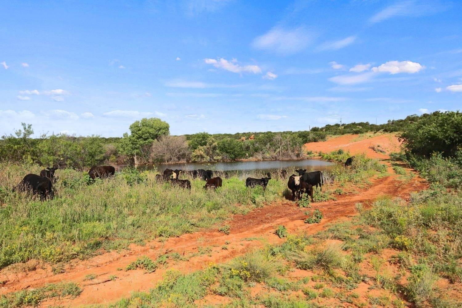 2,553 acres in Dickens County - photo 8