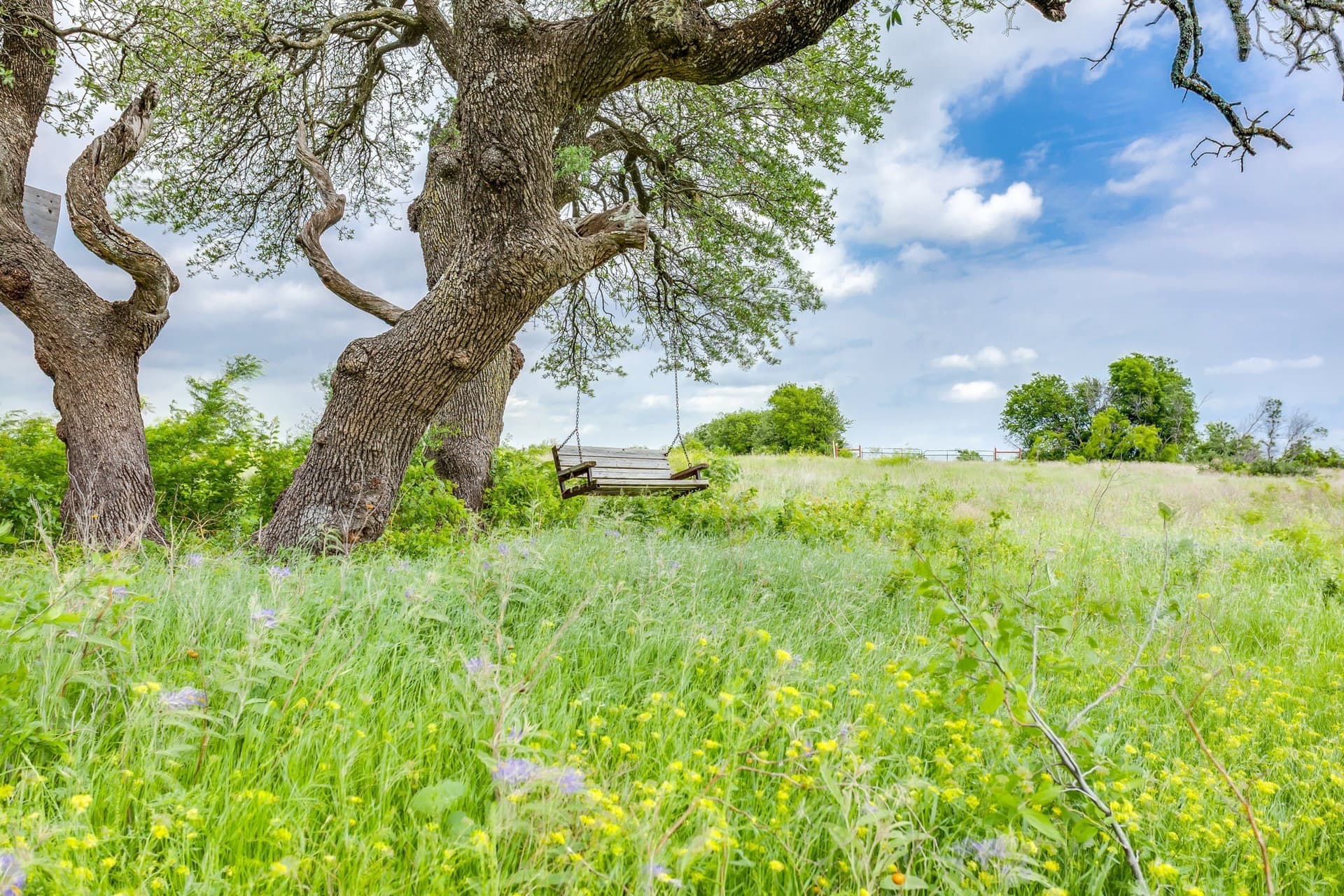 326 acres in Parker County - photo 28