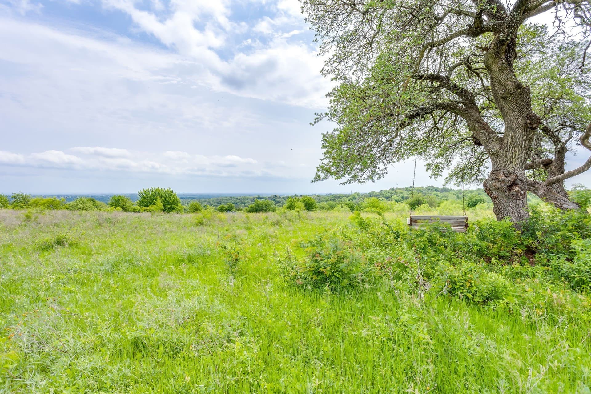 326 acres in Parker County gallery image 3