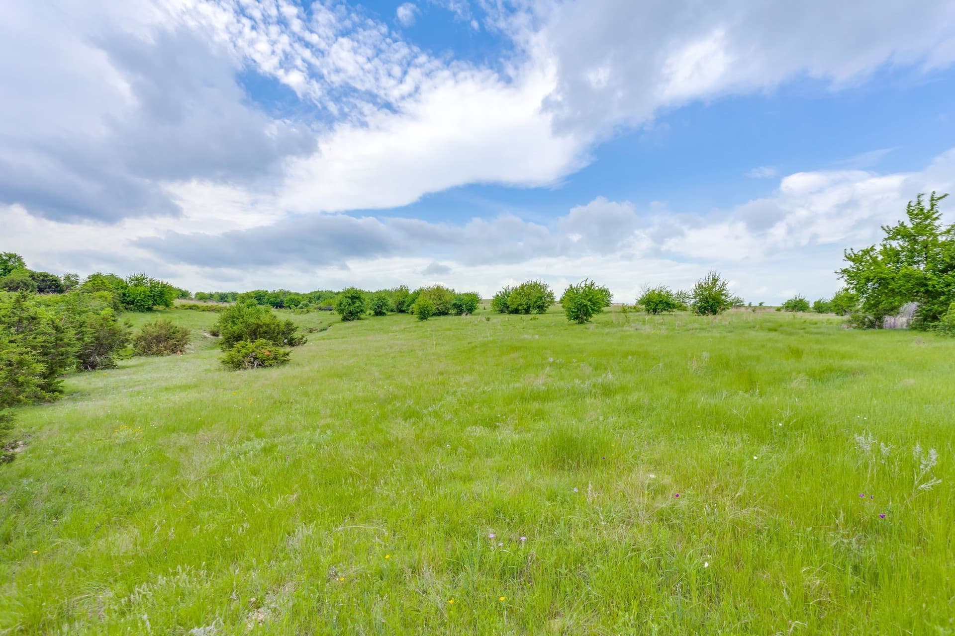 326 acres in Parker County - photo 14
