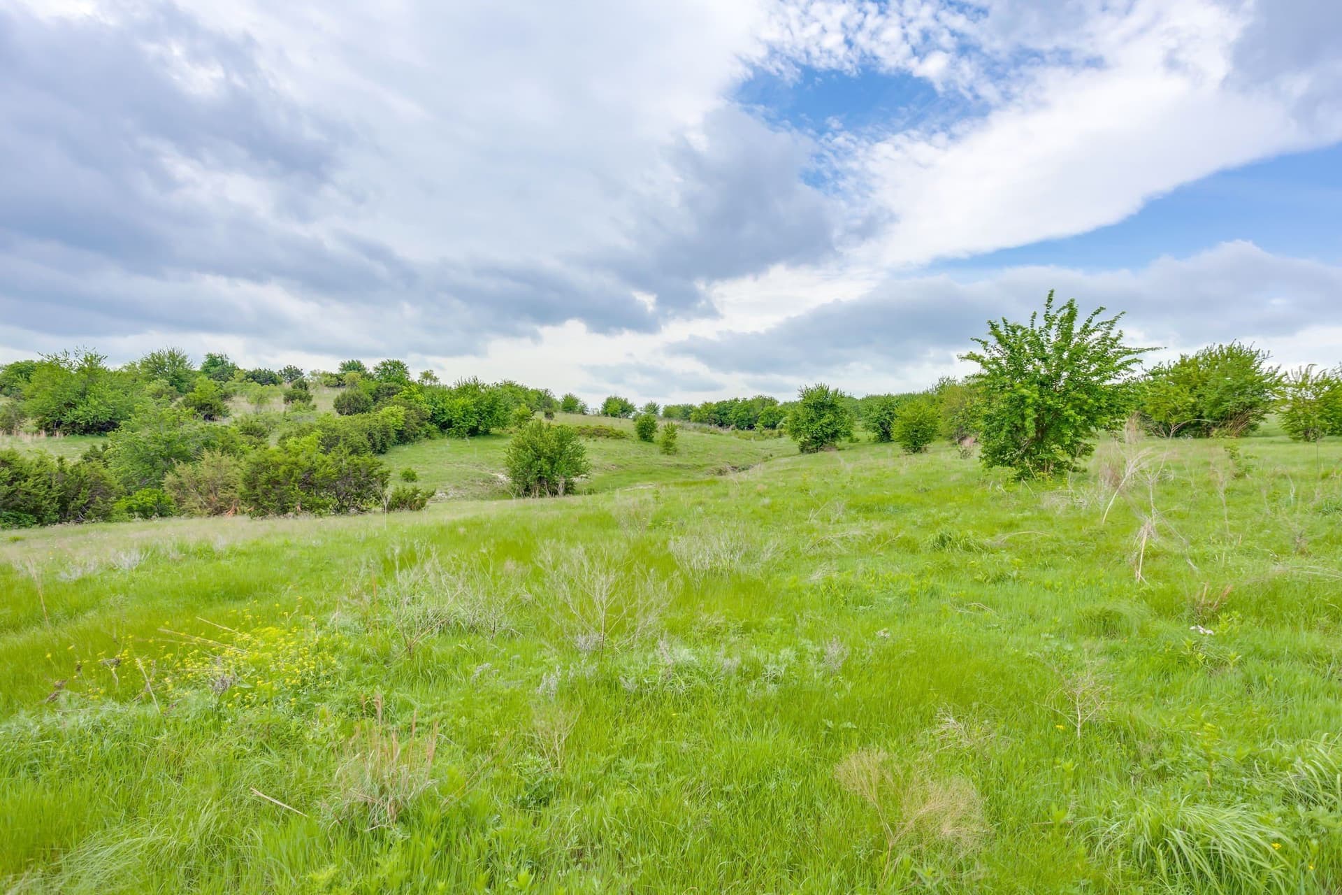 326 acres in Parker County - photo 6