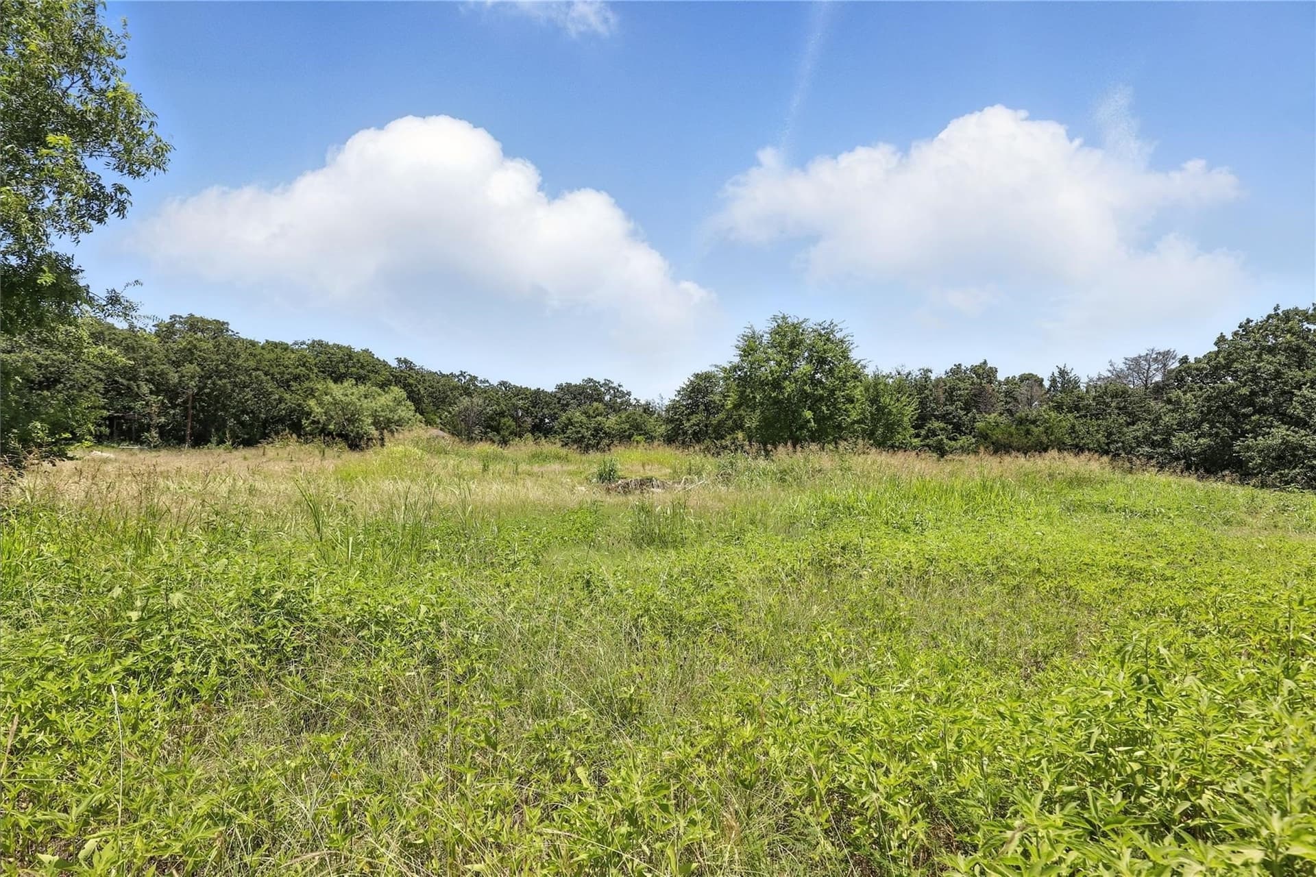2.78 acres in Johnson County gallery image 4