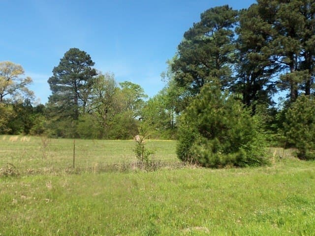 149.75 acres in Rusk County gallery image 2