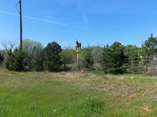 149.75 acres in Rusk County gallery image 3