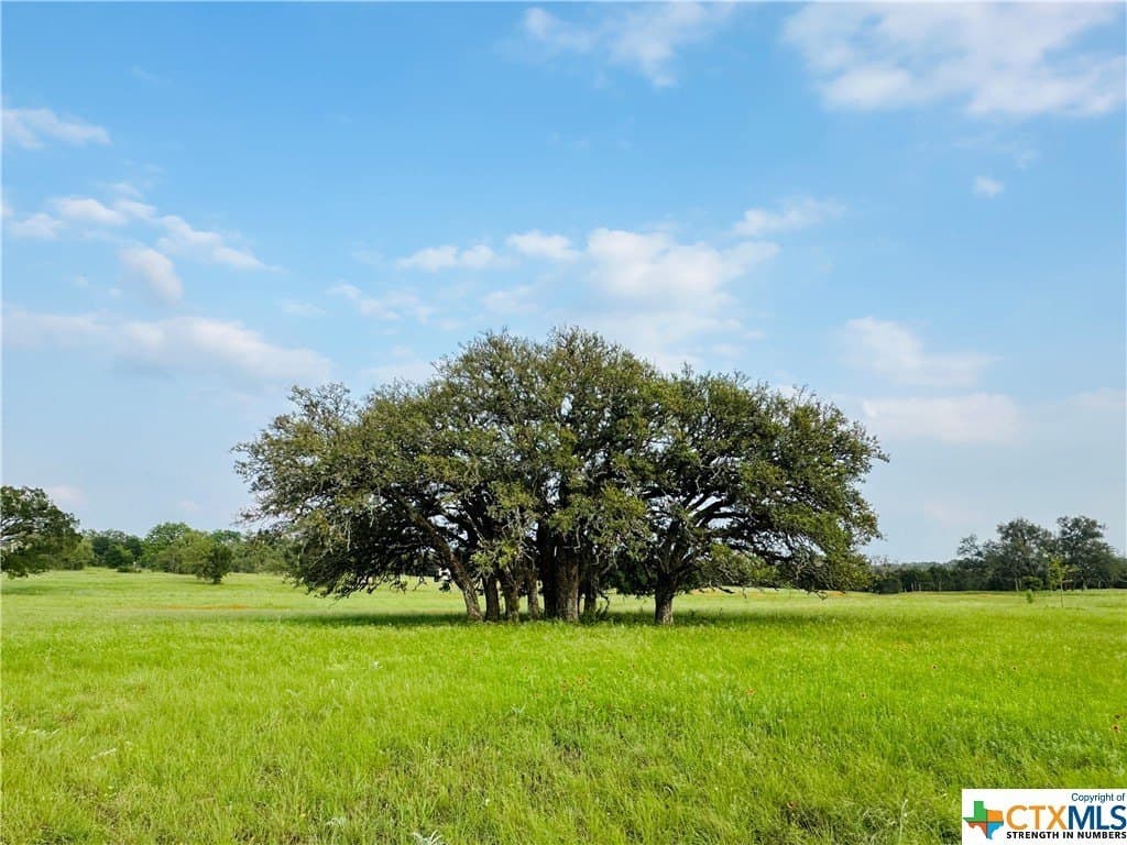 5.25 acres in Texas County - photo 14