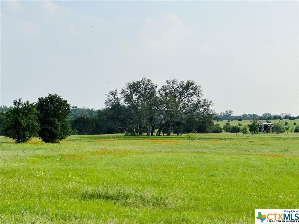 5.25 acres in Texas County - photo 16