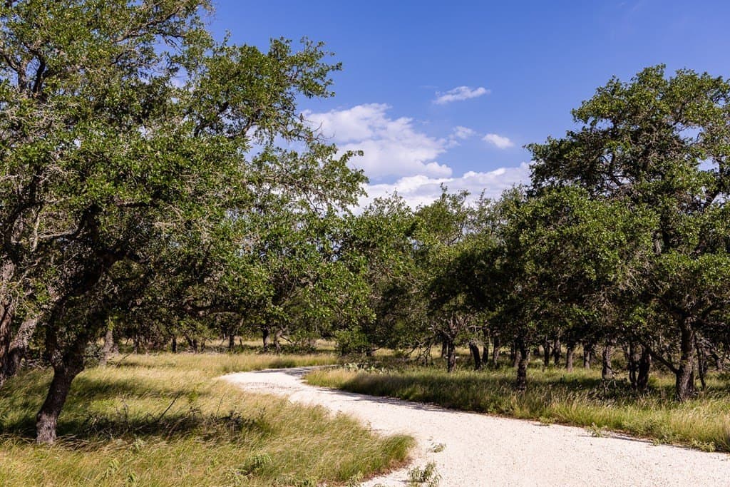 15 acres in Kerr County gallery image 4