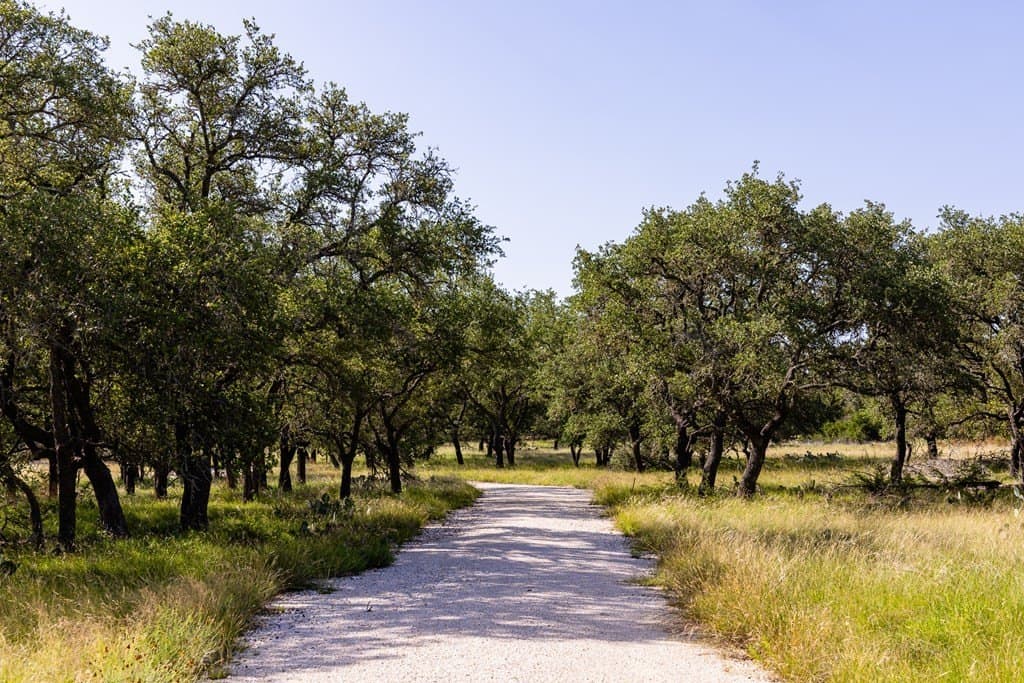 15 acres in Kerr County gallery image 3