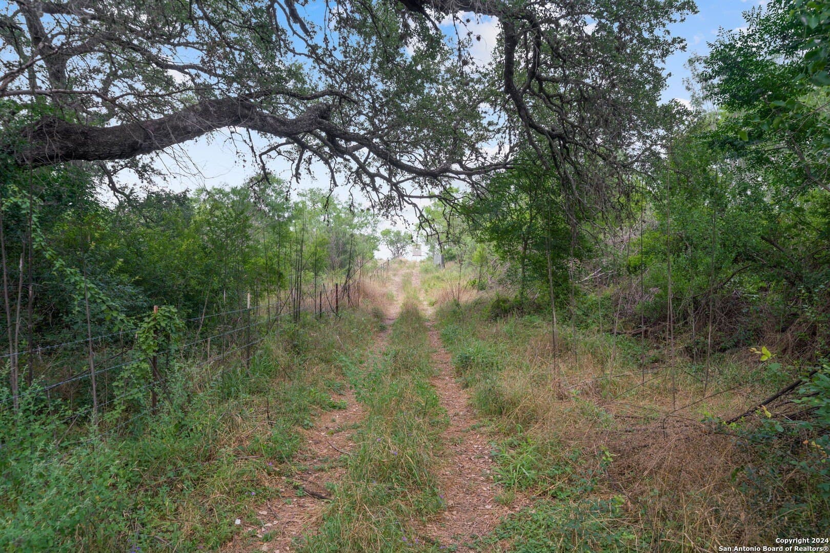 19.68 acres in Bexar County - photo 10