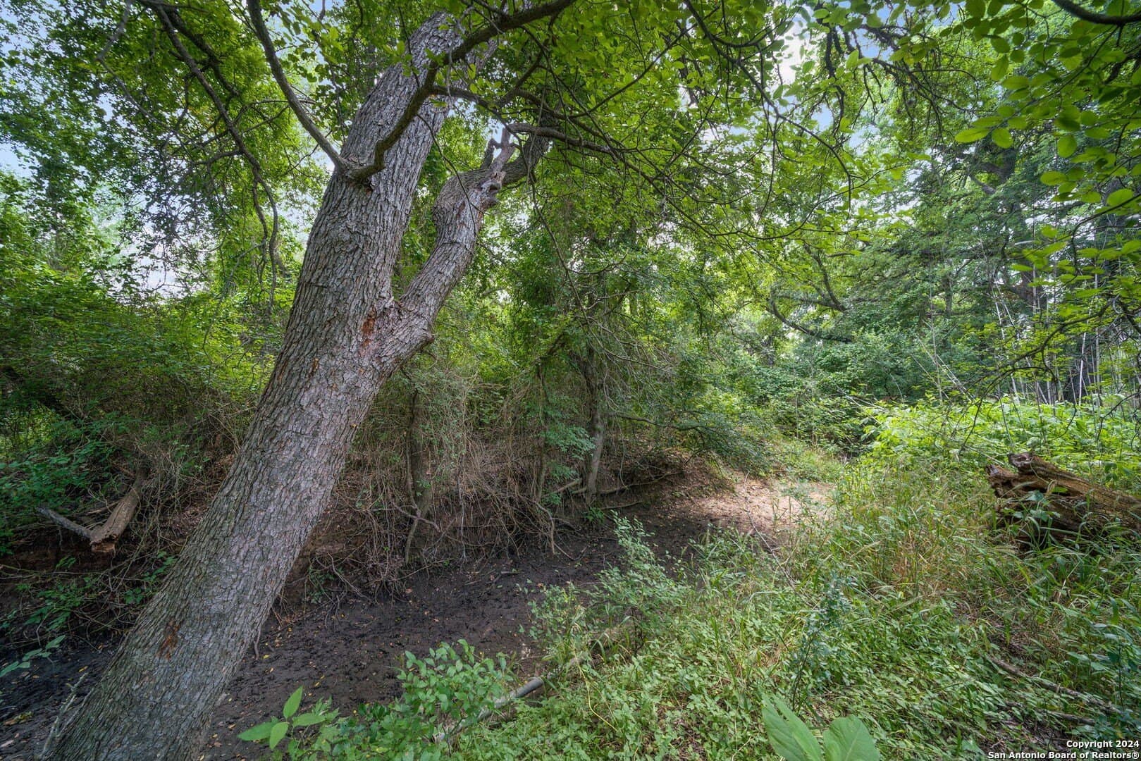 19.68 acres in Bexar County - photo 8