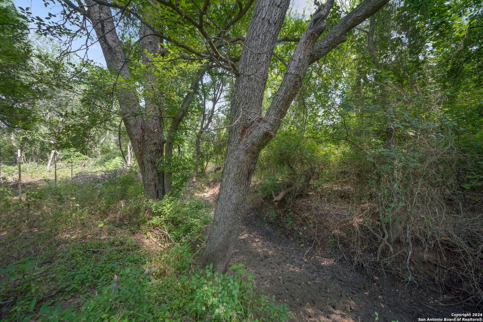 19.68 acres in Bexar County - photo 9