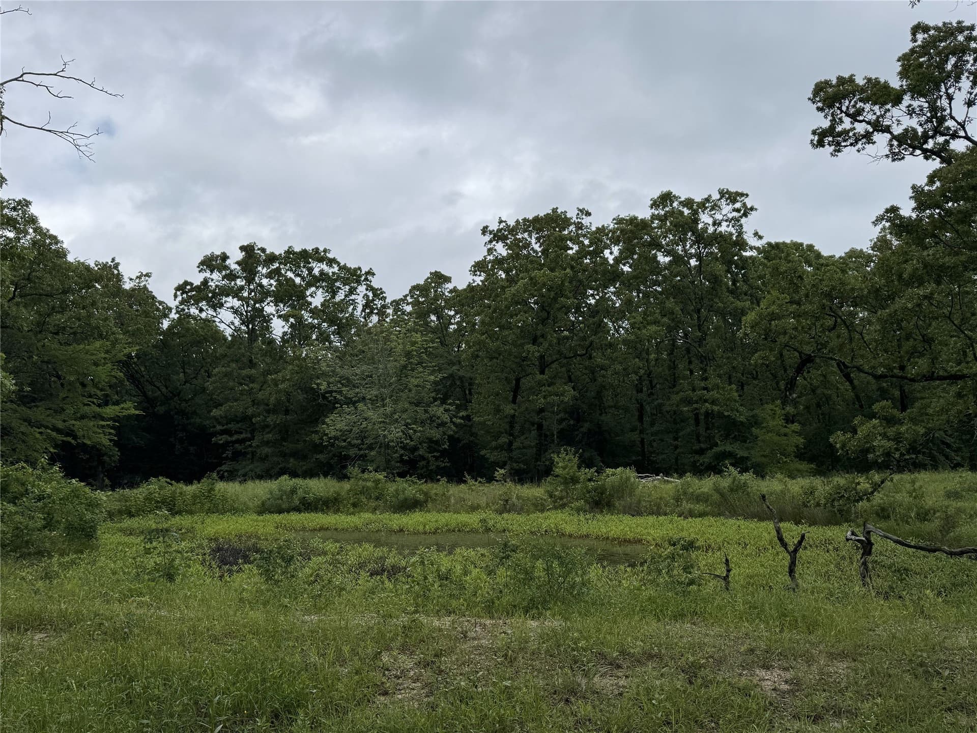 1.84 acres in Rains County - photo 2