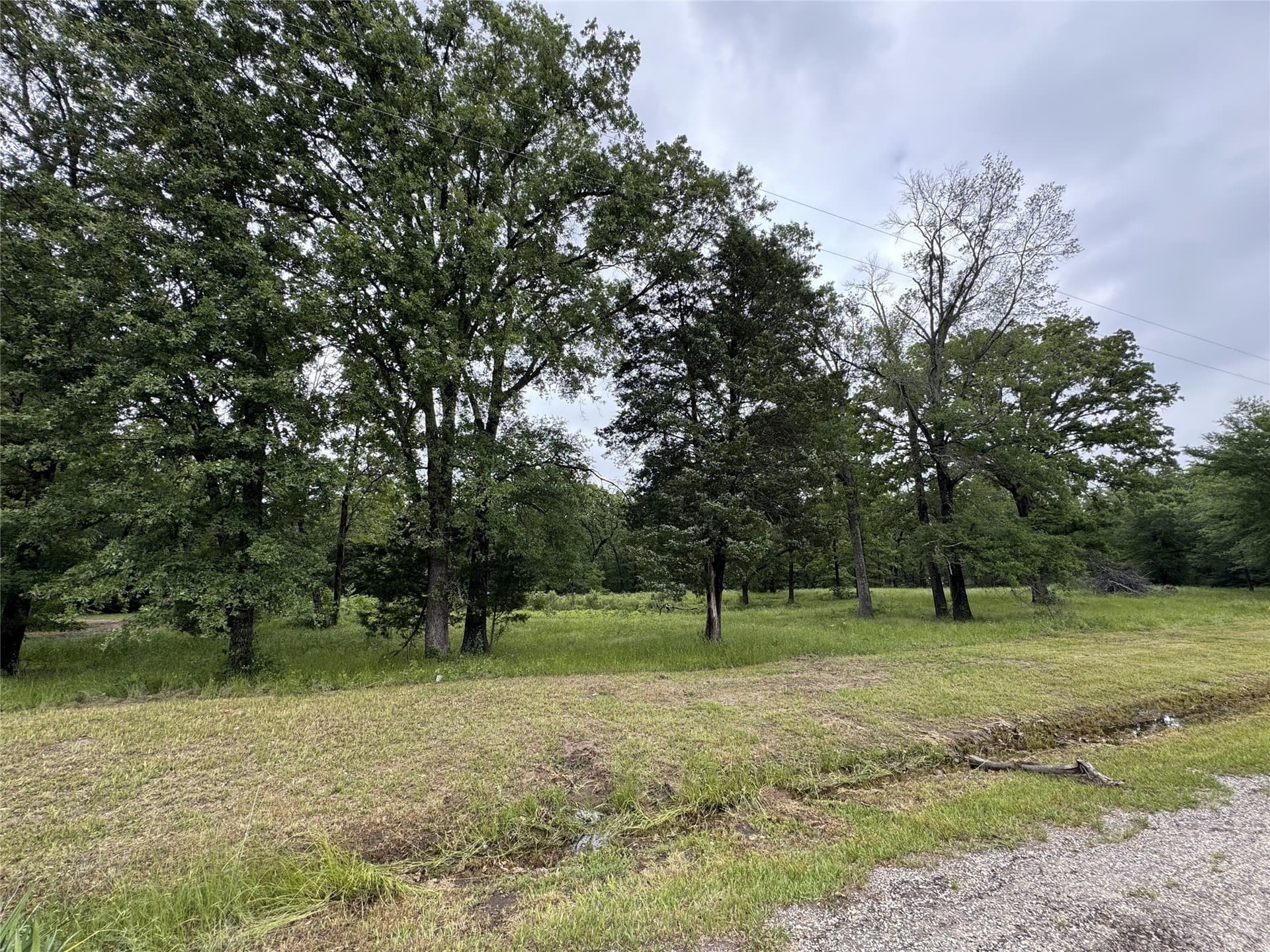 1.84 acres in Rains County - photo 4