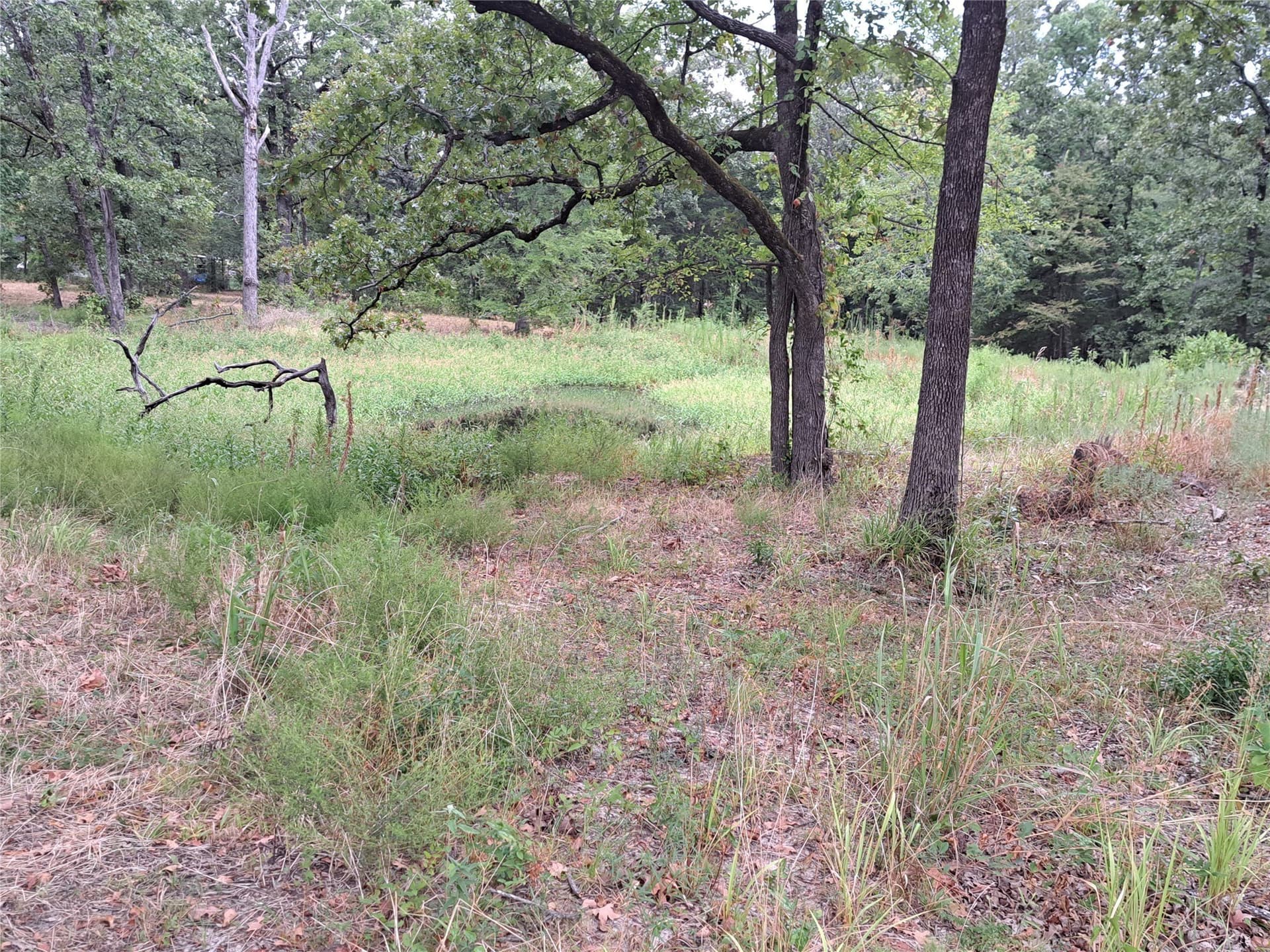 1.84 acres in Rains County - photo 8