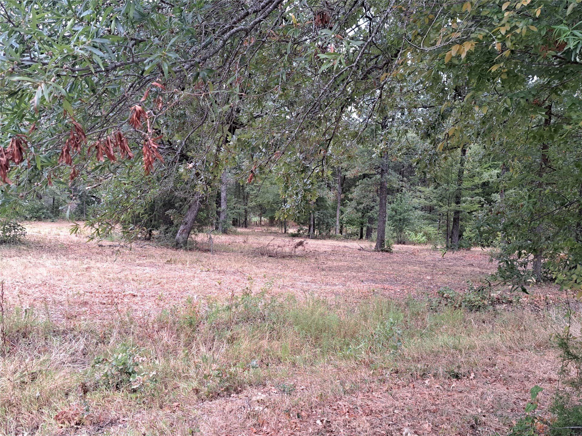 1.84 acres in Rains County - photo 9