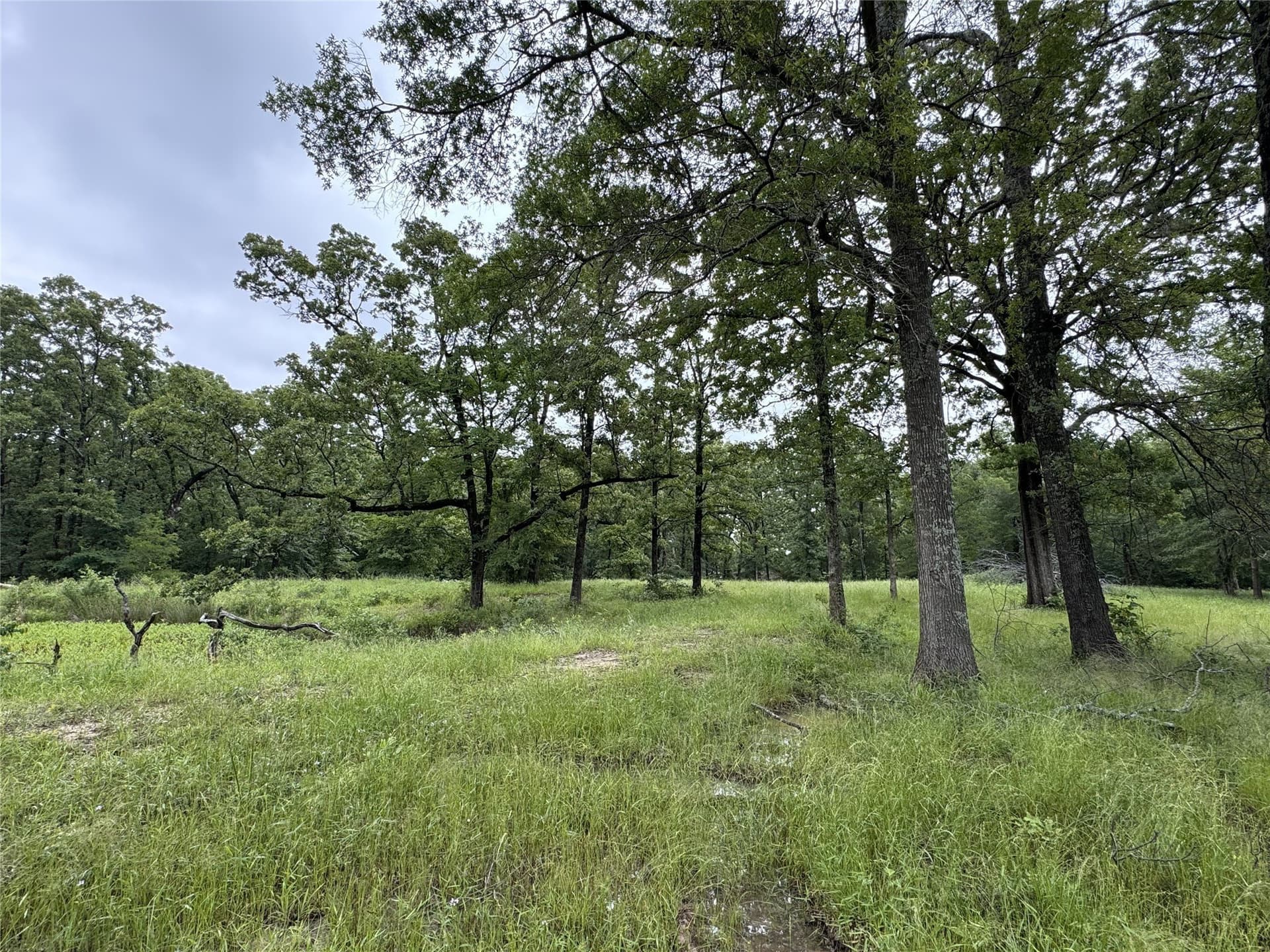 1.84 acres in Rains County - photo 3