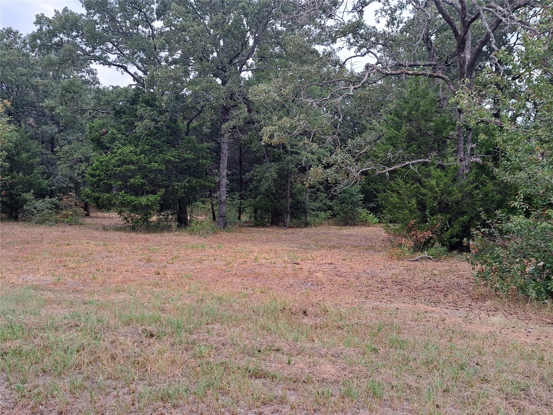 1.84 acres in Rains County - photo 5