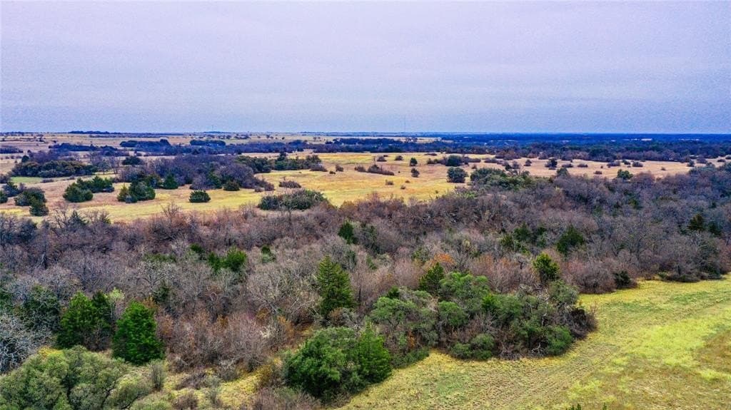 180.7 acres in Montague County gallery image 4