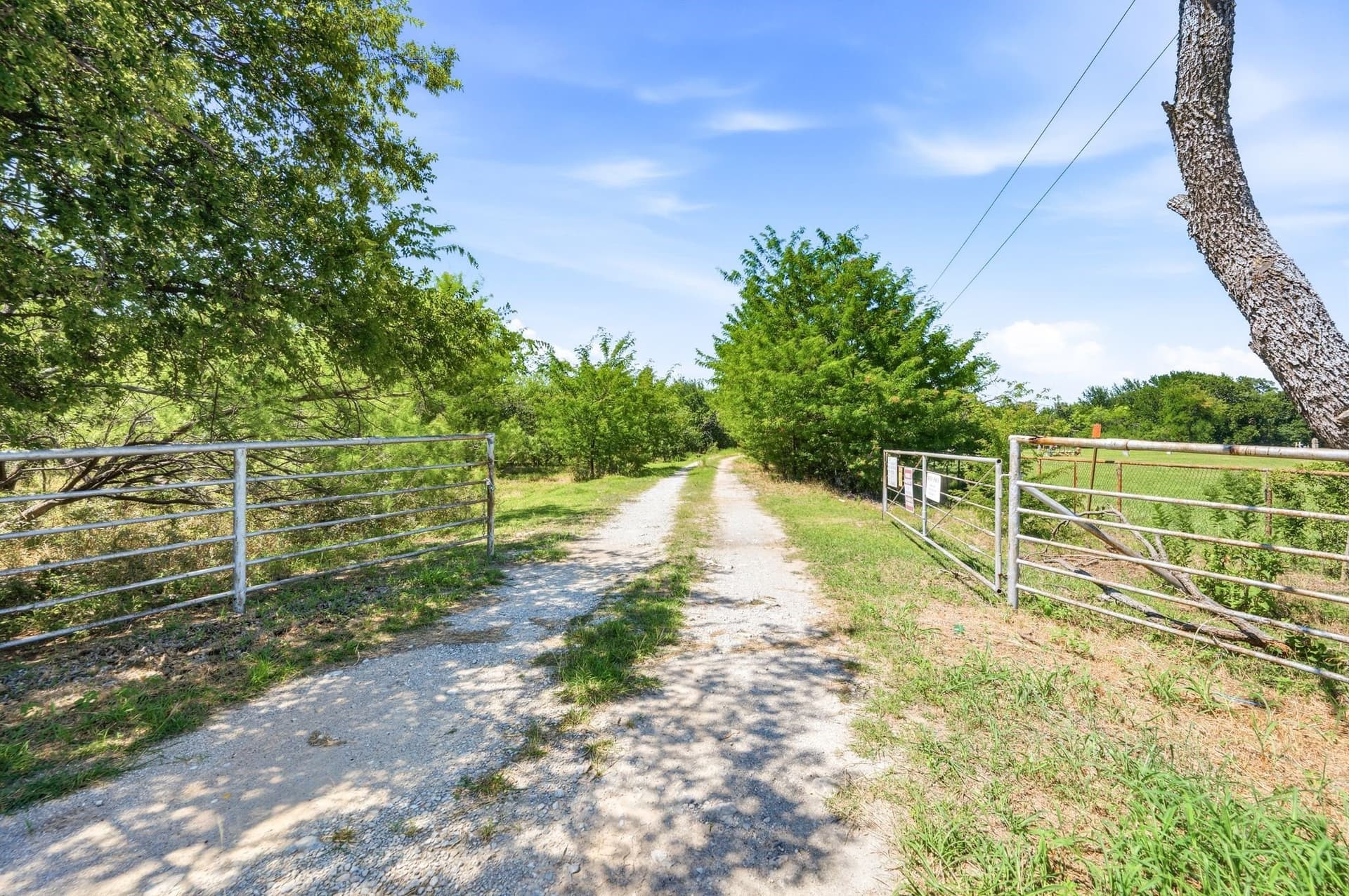 84 acres in Wise County - photo 17