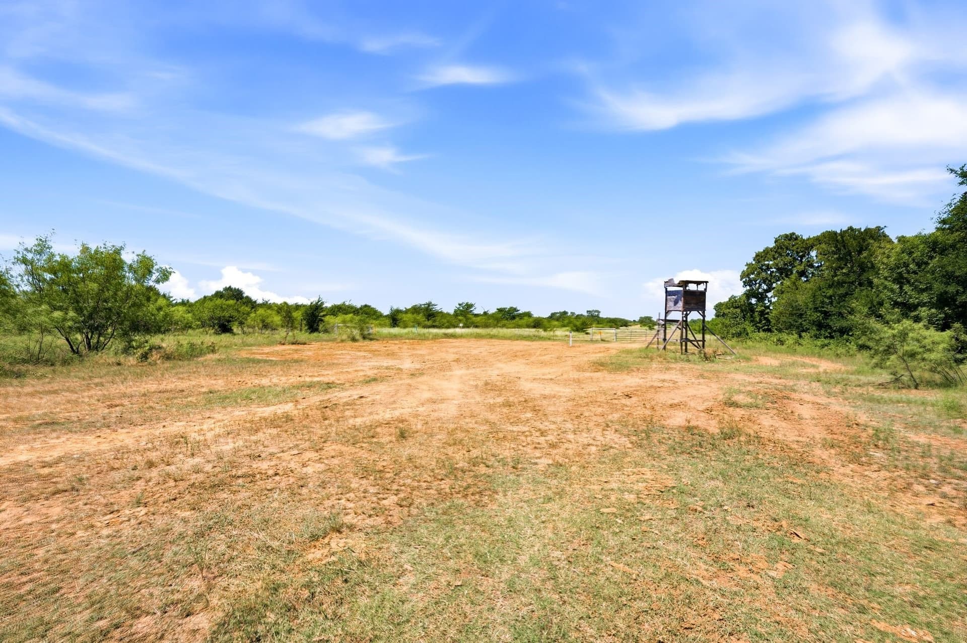 84 acres in Wise County gallery image 3