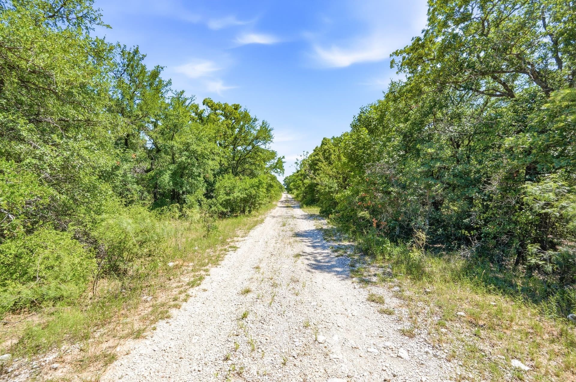 84 acres in Wise County - photo 16