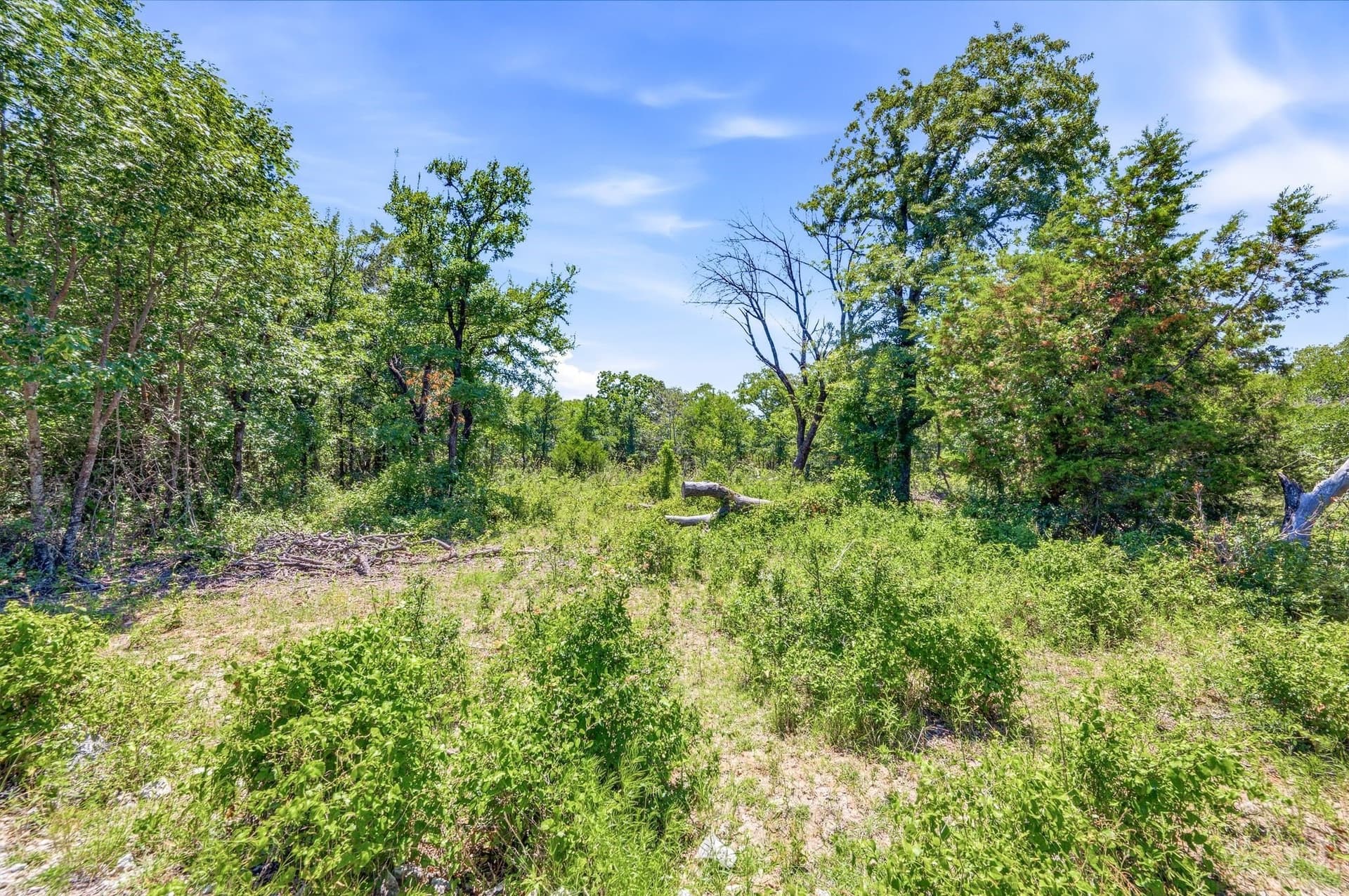 84 acres in Wise County - photo 10