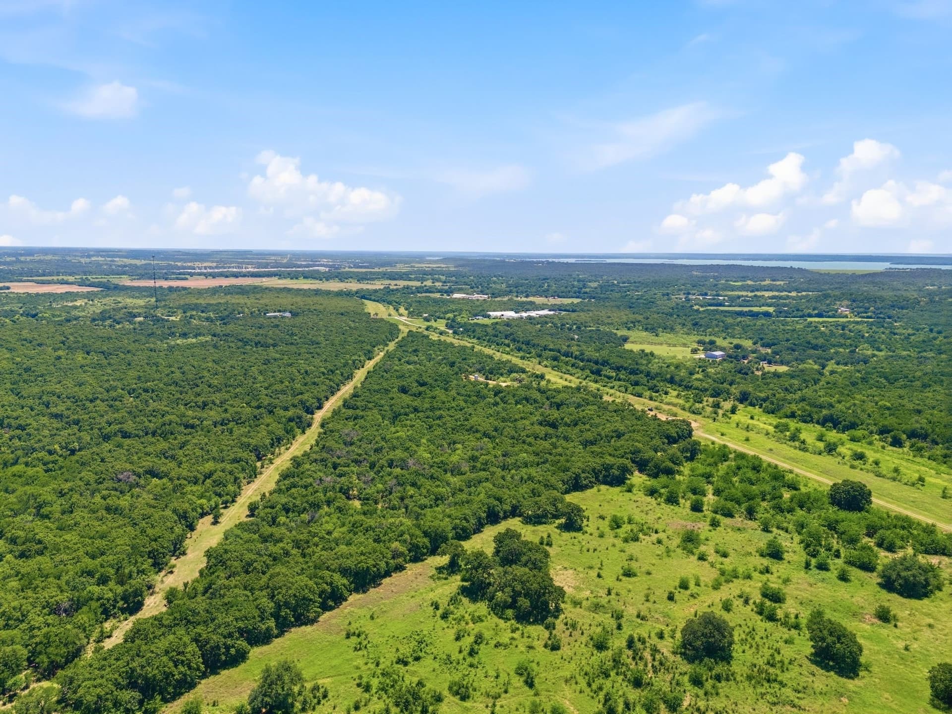 84 acres in Wise County gallery image 4
