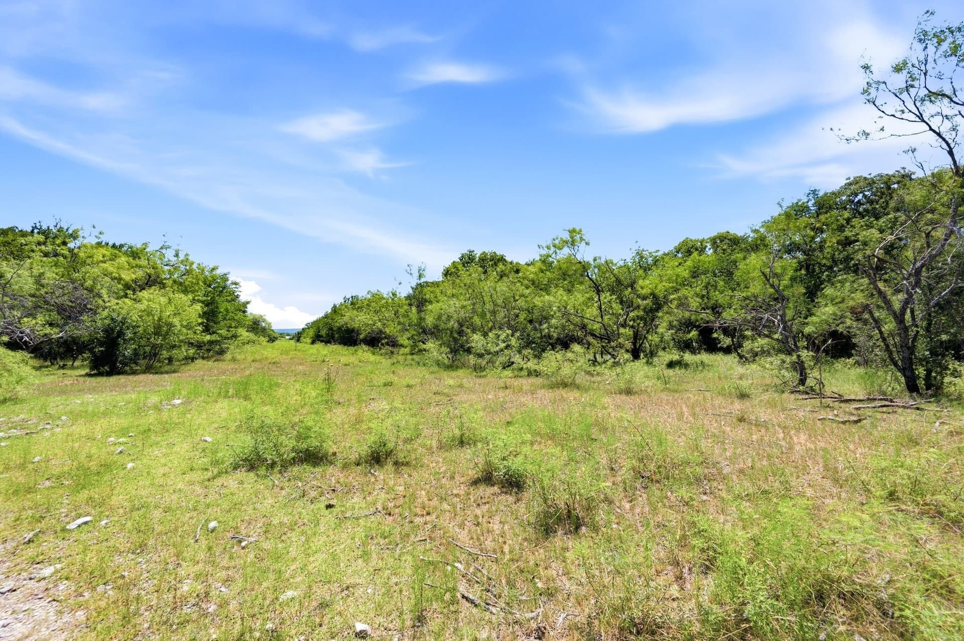 84 acres in Wise County gallery image 2