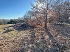 2.01 acres in Grayson County gallery image 4