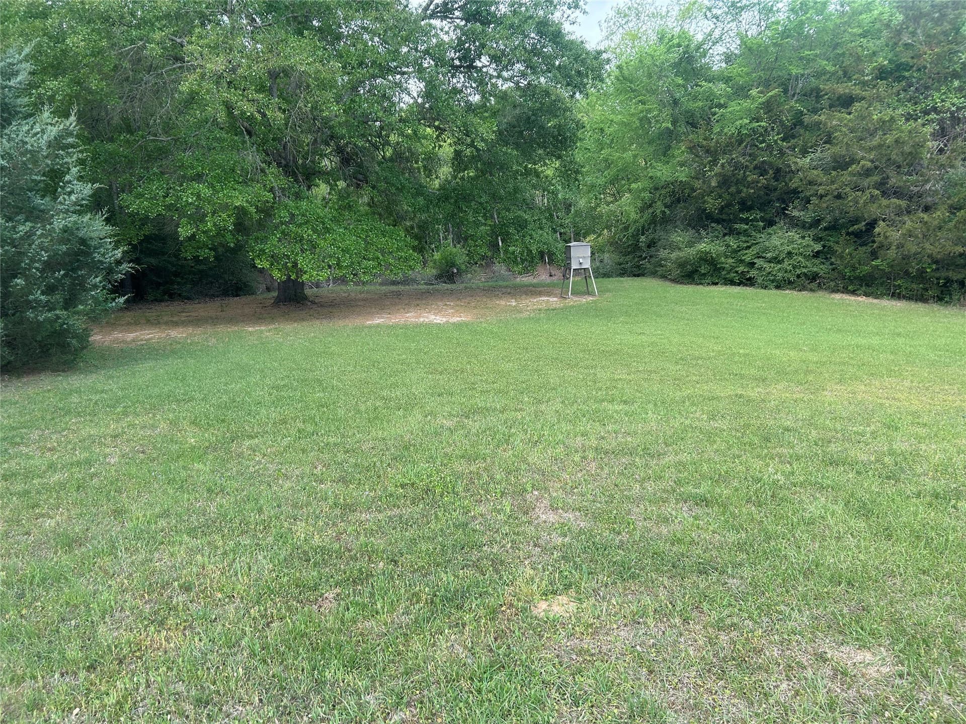 10.34 acres in Limestone County - photo 20