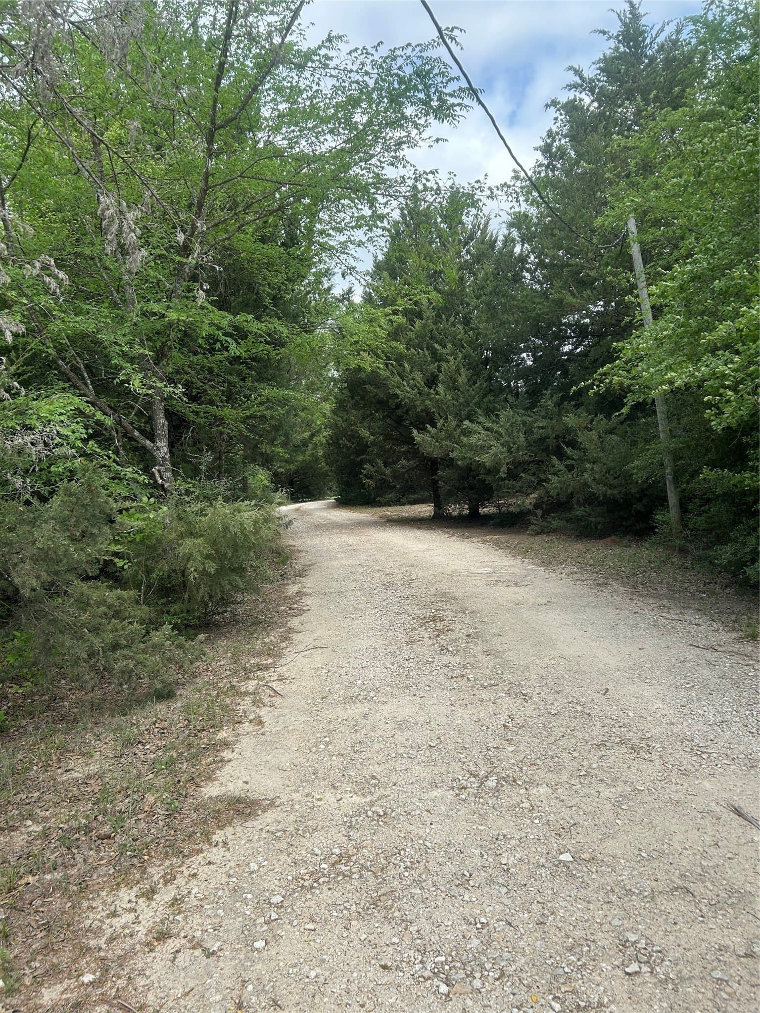 10.34 acres in Limestone County - photo 18
