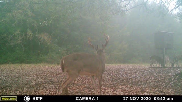 10.34 acres in Limestone County - photo 23